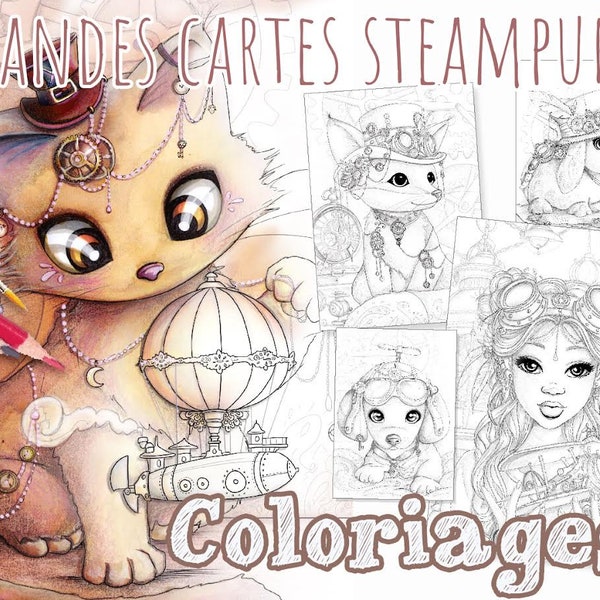 12 grandes cartes A5 à colorier steampunk