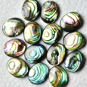 May include: A collection of oval-shaped abalone shells. The shells display iridescent colors including green, blue, gold, and purple. The shells have a smooth, polished surface and are arranged on a white background. These shells are often used in jewelry making.