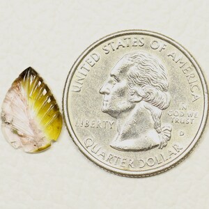 May include: A small, teardrop-shaped, carved gemstone with pink, yellow, and brown colors. The gemstone is next to a US quarter for size comparison.