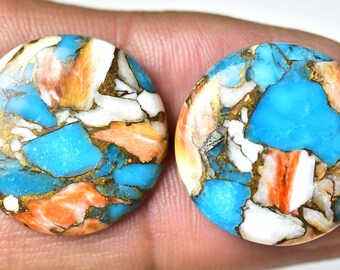 1 Pair Oyster Copper Turquoise Cabochons Lot 23mm Round Shape Oyster Turquoise Gemstones Smooth Cabochon Loose Gemstone Semi Precious C-9642