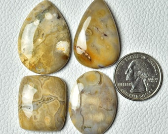 4 Pieces Ocean Jasper Cabochons Lot 24x28mm-26x37mm Mix Shape Natural Jasper Gemstone Cabs Smooth Gems Loose Stone Semi Precious Cab C-8491