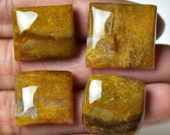 4 Pieces Natural Honey Agate Cabochons Lot 17x18mm to 20x21mm Cushion Shape Agate Gemstone Cab Loose Stones Smooth Gems Semi Precious C-8505
