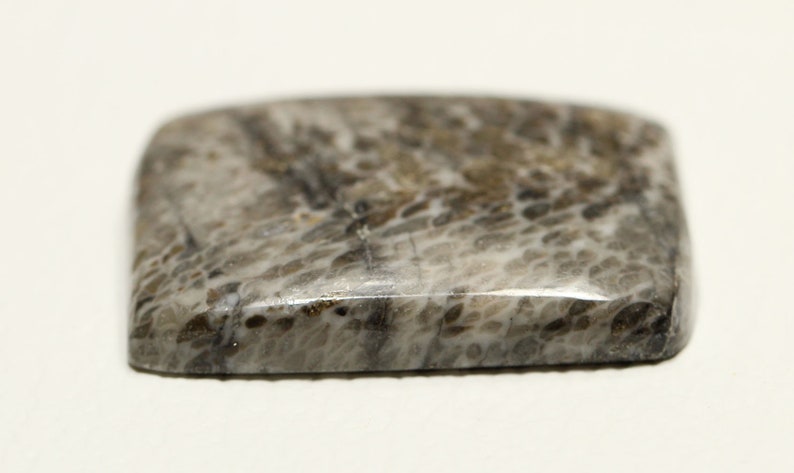1 Piece Natural Gray Fossil Coral Cabochon 27x35mm Cushion Shape Rare Fossil Coral Gemstones Cabs Semi Precious Cab Loose Stones C-18334