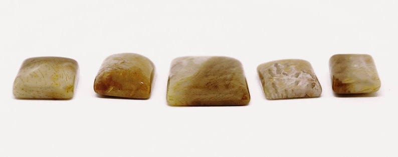 5 Pieces Palm Root Jasper Cabochons Lot 13x19mm to 22x27mm Cushion Shape Natural Jasper Gemstone Cabs Smooth Gems Loose Stone Semi Precious