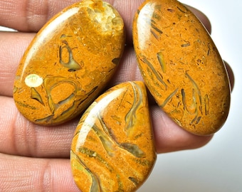 3 Pieces Natural Posolite Cabochons Lot 24x35mm-22x42mm Mixed Shape Gemstone Cabochon Loose Gemstones Semi Precious Smooth Stones Cabs C-636