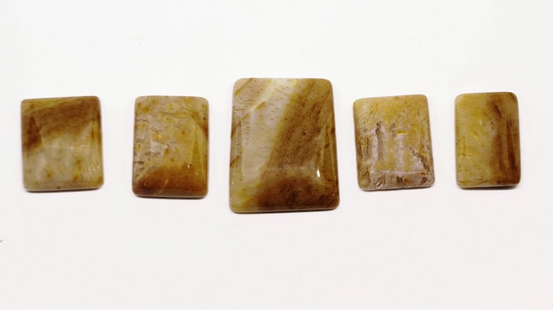 5 Pieces Palm Root Jasper Cabochons Lot 13x19mm to 22x27mm Cushion Shape Natural Jasper Gemstone Cabs Smooth Gems Loose Stone Semi Precious