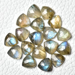 5 Pieces Natural Labradorite Faceted Loose Gemstones Lot 7x7mm - 8x8mm Trillion Shape Labradorite Rose Cut Gem Stones Flat Cabochons C-15722