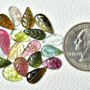 May include: Assortment of 20 carved gemstone leaf beads in various colors, including green, pink, brown, and blue. The beads are approximately the size of a US quarter.
