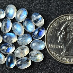 May include: A collection of oval-shaped moonstone cabochons, ranging in size from small to medium, with a milky white color and iridescent blue sheen. The stones are arranged in a loose pile and are compared to a US quarter for size reference.