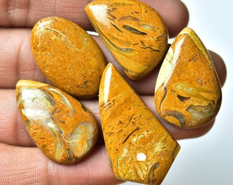 5 Pieces Natural Posolite Cabochons Lot 17x26mm-20x37mm Mixed Shape Gemstone Cabochon Loose Gemstones Semi Precious Smooth Stones Cabs C-632