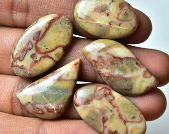 5 Pieces Natural Fancy Jasper Cabochons Lot 16x24mm to 15x30mm Mixed Shape Gemstone Cabochon Loose Gemstones Smooth Cabs Semi Precious C-739