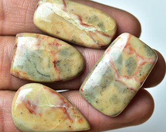 4 Pieces Natural Fancy Jasper Cabochons Lot 13x28mm-17x27mm Mixed Shape Gemstone Smooth Cabochon Loose Gemstones Cabs Semi Precious C-740