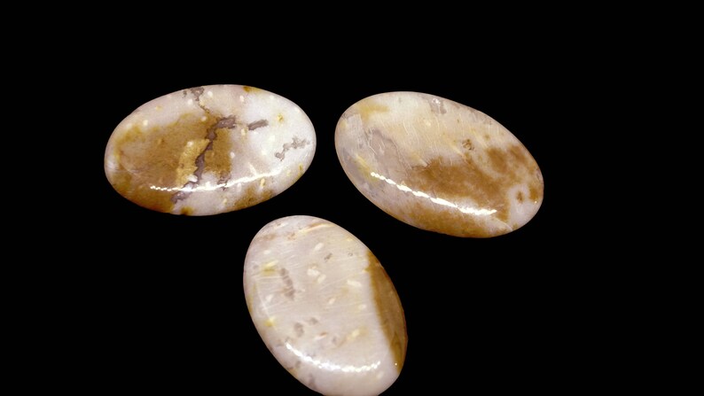3 Pieces Palm Root Jasper Cabochons Lot 23x34mm to 23x37mm Oval Shape Natural Jasper Gemstone Cabs Smooth Gems Loose Stone Semi Precious Cab