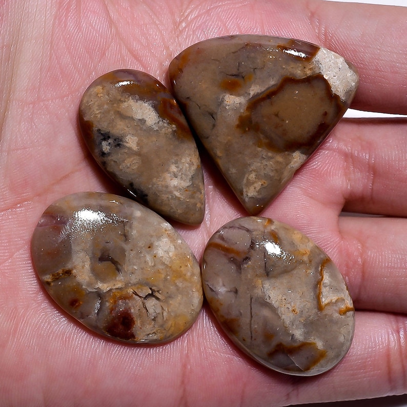 4 Pieces Lot Rock Calcy Cabochons Lot 18x33mm to 33x34mm Mix Shape Natural Rock Chalcedony Gemstones Cabs Smooth Gems Loose Stone 6346
