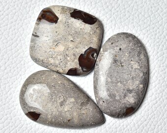 3 Pieces Natural Ash Agate Cabochons Lot 22x34mm to 26x27mm Mix Shape Agate Gemstones Cabs Loose Stones Smooth Gems Semi Precious Cab C-8205
