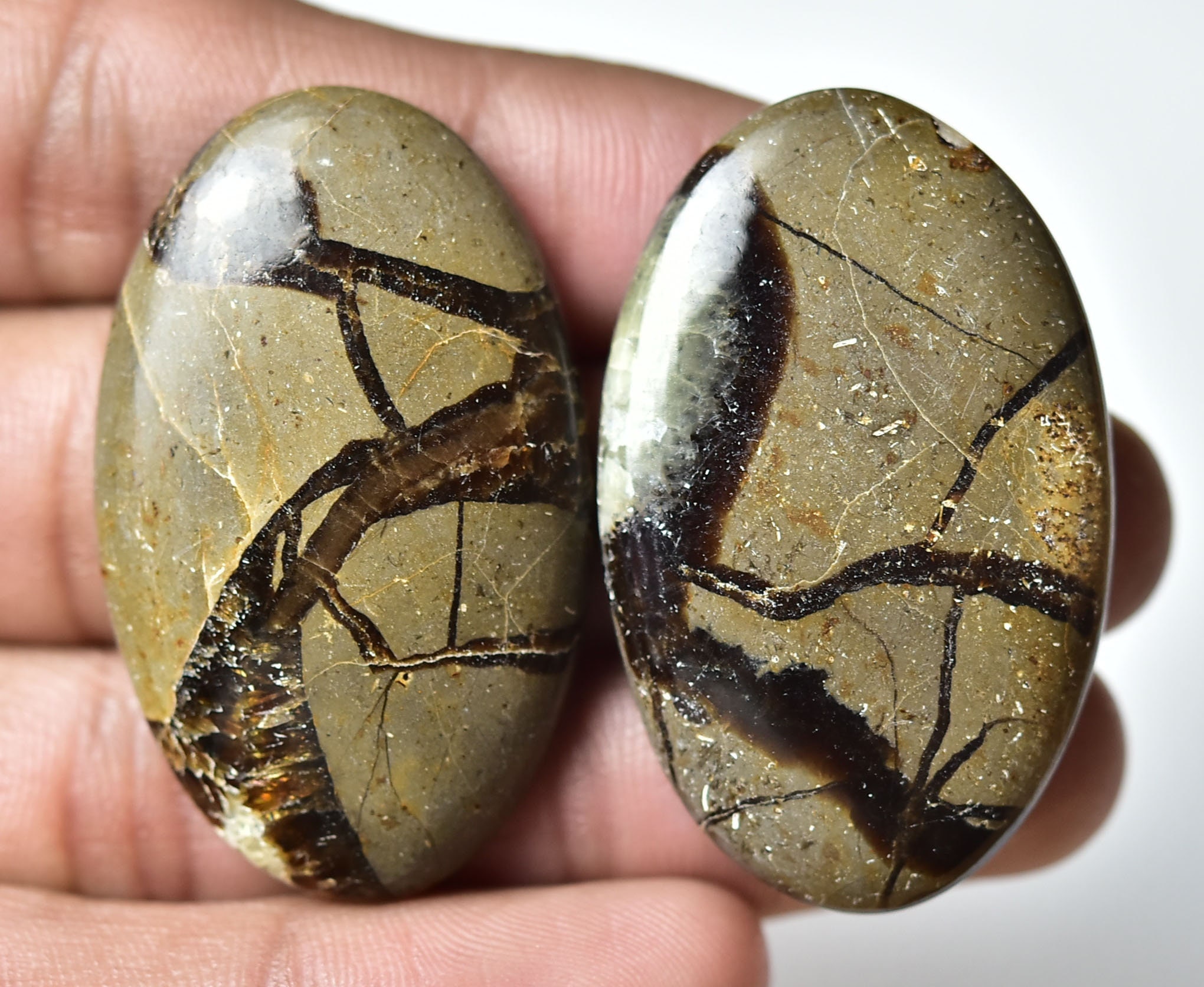 2 Pieces Natural Septarian Cabochons Lot 26x42mm Oval Shape Septerian Gemstones Cabs Loose Stones Smooth Gem Semi Precious Cabochon C-8224