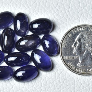 May include: A group of 12 oval-shaped, dark blue gemstones, each approximately the size of a UK 20 pence coin.