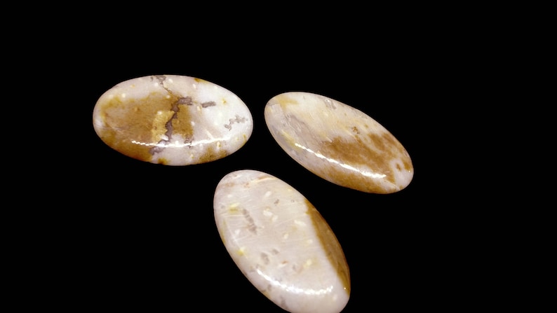 3 Pieces Palm Root Jasper Cabochons Lot 23x34mm to 23x37mm Oval Shape Natural Jasper Gemstone Cabs Smooth Gems Loose Stone Semi Precious Cab