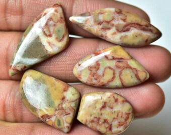 5 Pieces Natural Fancy Jasper Cabochons Lot 15x19mm-15x32mm Mixed Shape Gemstone Cabochon Loose Gemstones Smooth Cabs Semi Precious C-741