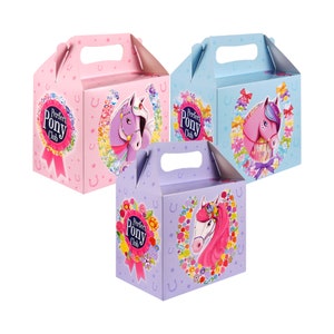 Feest Voedseldozen Ponyclubfeest Verjaardag Feest Evenement Buit Snoepdoos Meisje My Little Pony Paard Geschenkdoos Picknickdoos Lunchbox Geschenkdoos