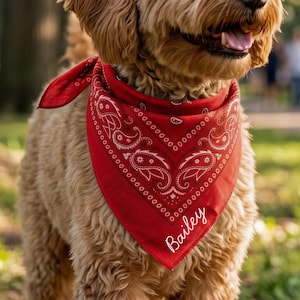 Pode incluir: Uma bandana vermelha para cão com um padrão paisley branco e o nome Bailey escrito em letra cursiva branca. O acessório triangular de tecido está atado ao pescoço de um cão de pelo encaracolado castanho claro com a boca entreaberta.