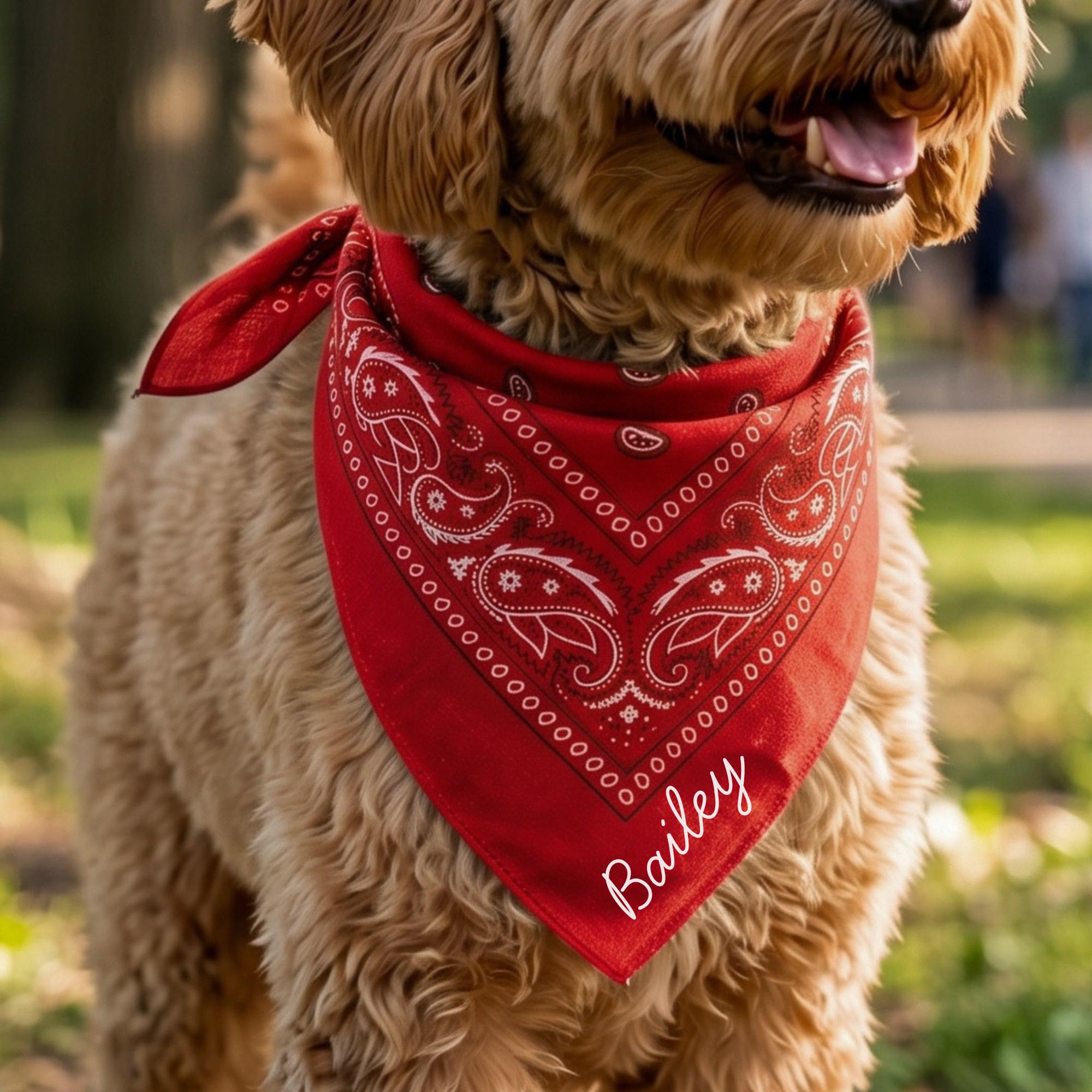 Hermès dog - Etsy France