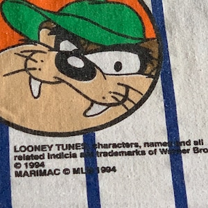 Vintage 1994 Looney Tunes Baseball Twin Size Flat Sheet and Pillowcase