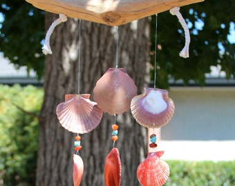 Details about   BIG NOBBLE VOLUTE NAUTICAL SEA SHELL TWINE WIND CHIME GARDEN BEACH #T-2874 