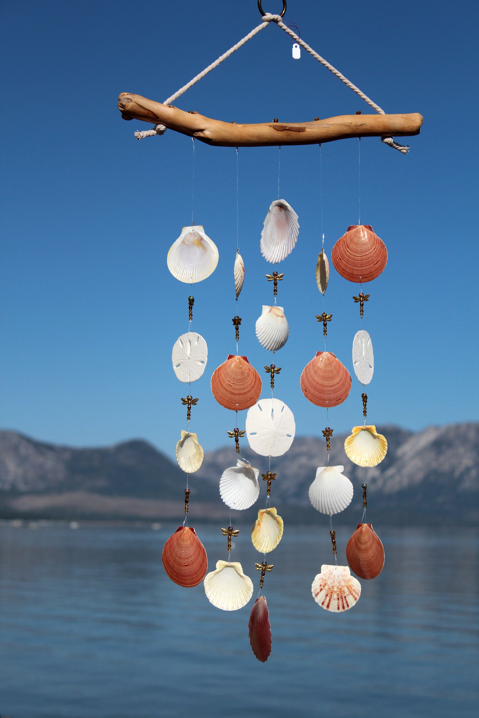 Driftwood Seashell Wind Chimes Sea Shell Wind Chimes Wind Etsy