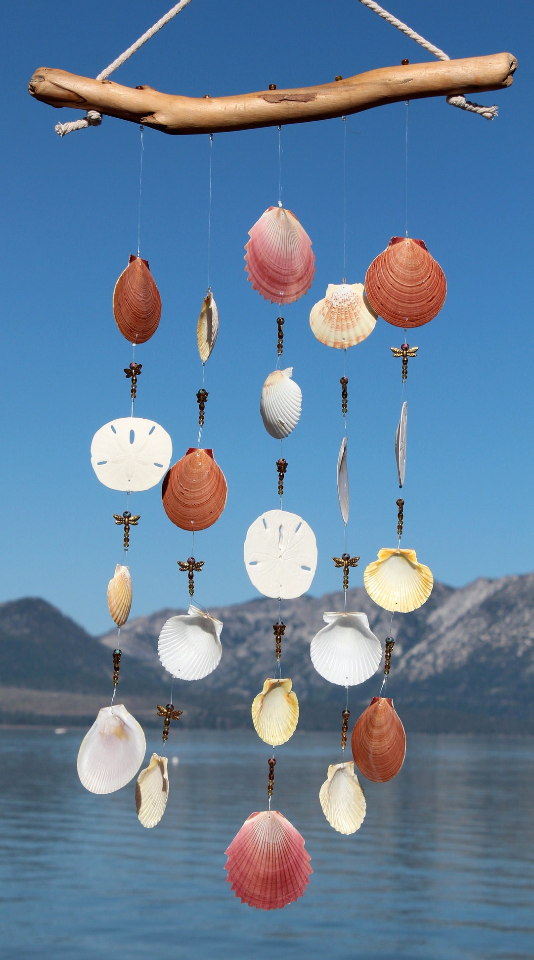 Driftwood Seashell Wind Chimes Dragon Fly Beads Sea Shell Etsy 日本