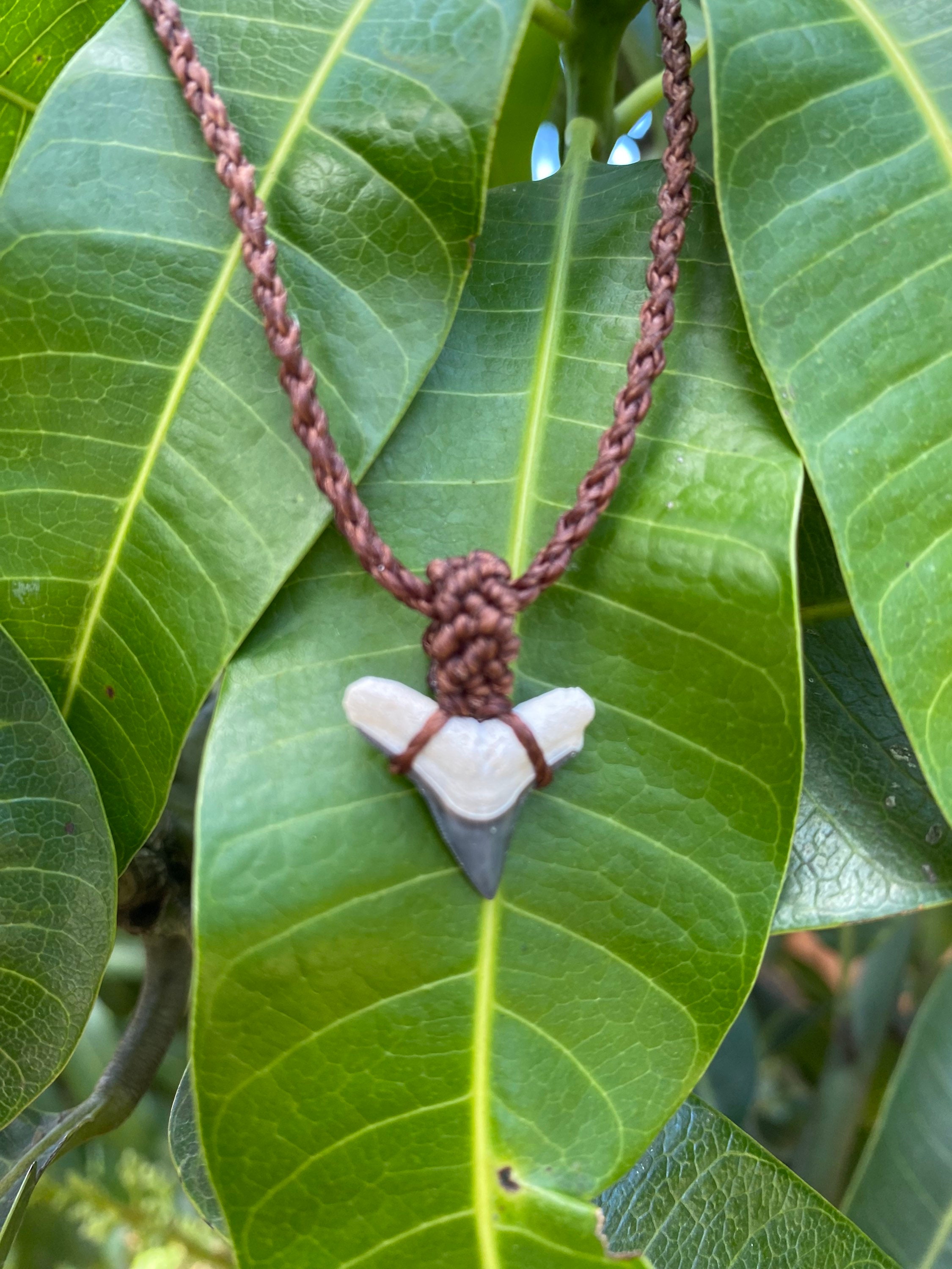 Real shark tooth pendant sale