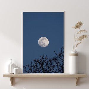 Lunar Print