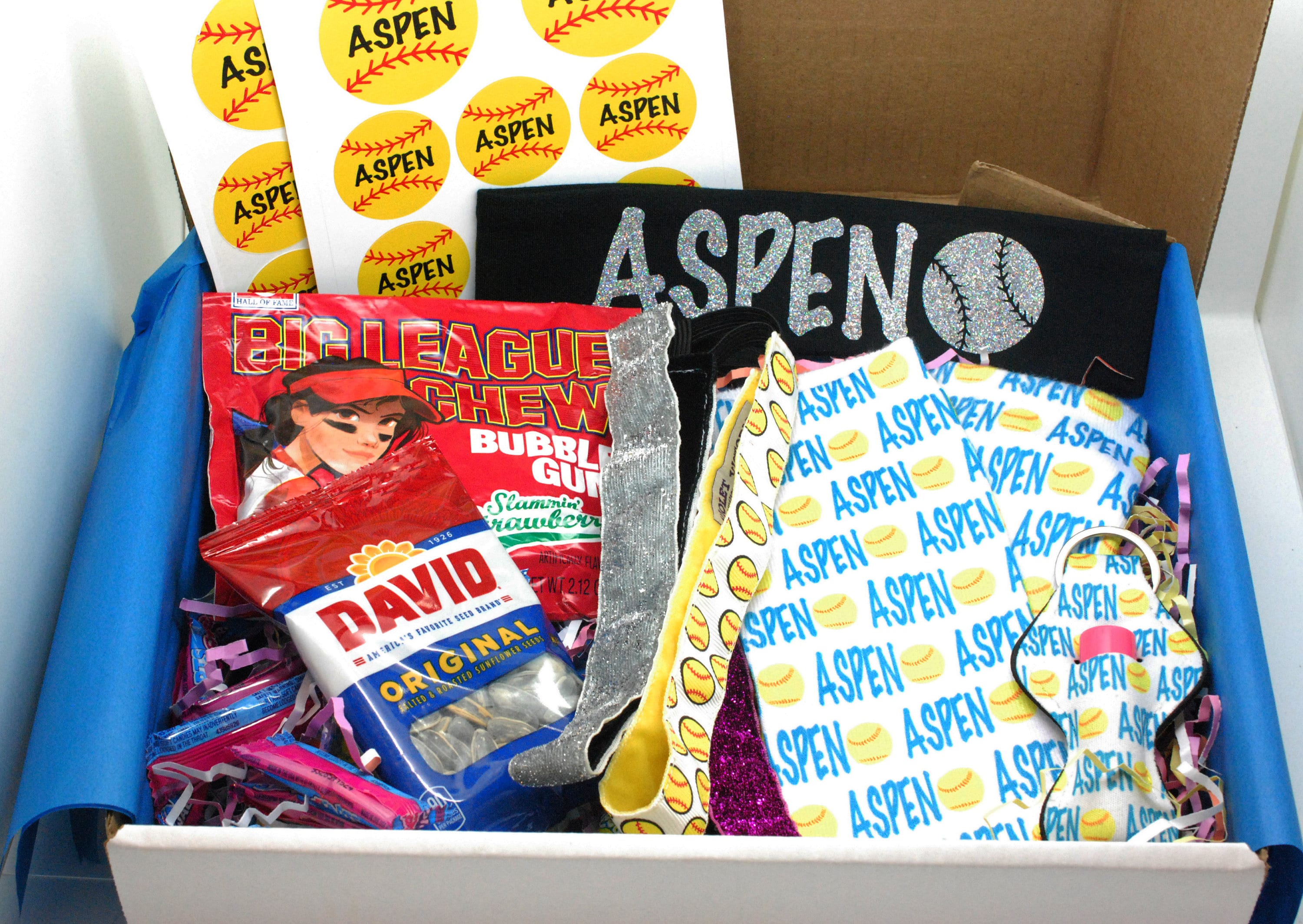 18+ Gifts For Softball Players