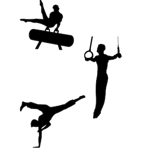 May include: A black silhouette graphic featuring three gymnasts in action. One gymnast performs on a pommel horse, another is suspended on gymnastic rings, and the third is executing a one-handed handstand with legs extended in a split position.