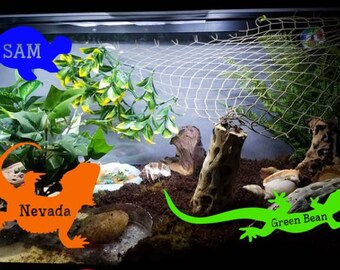 reptile tank etsy