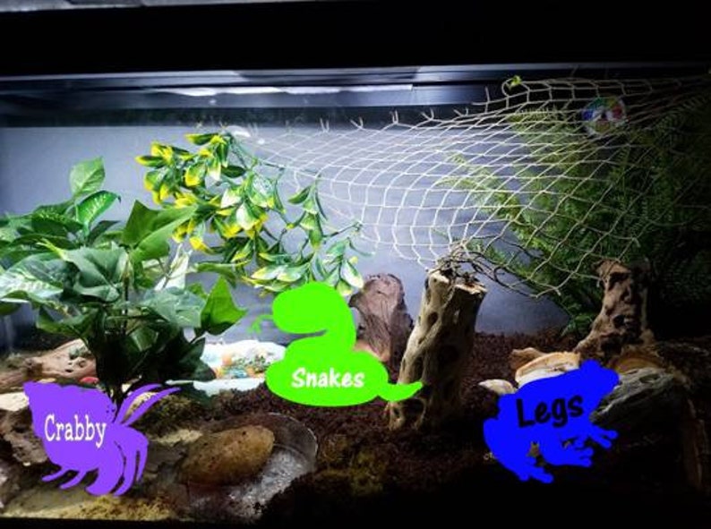 Fish Tank Pet Labels Pet Name Label Reptile Tank Etsy