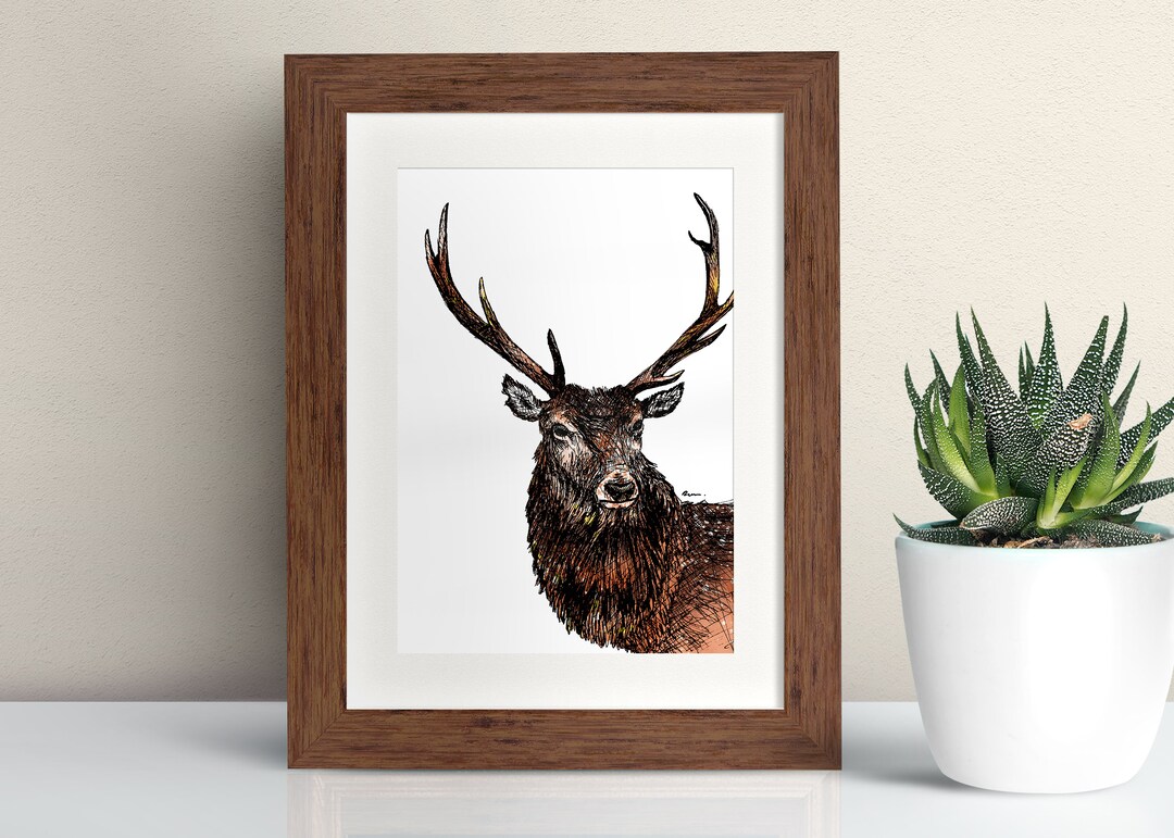 Red Deer Framed Art Print Deer Print Pen and Ink Drawing Etsy