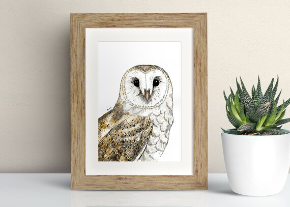 Barn Owl Framed Art Print Owl Print Pen And Ink Drawing Etsy