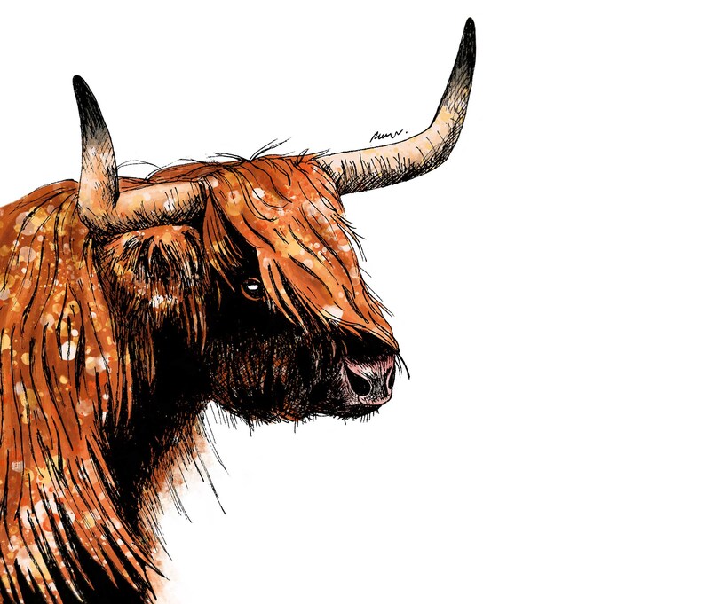 Highland Cow Framed Art Print Cow Print Pen and Ink Etsy