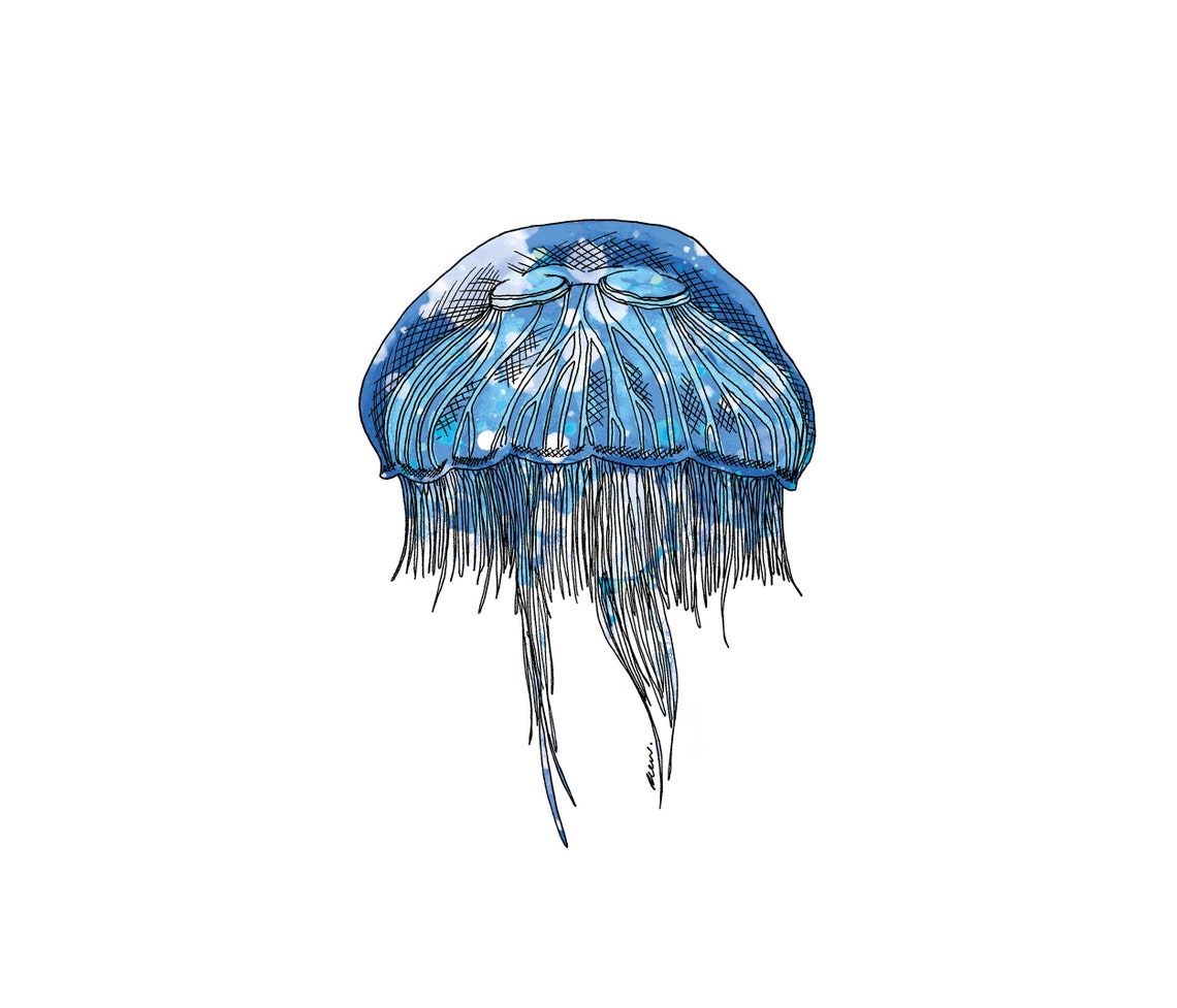 Moon Jellyfish Framed Art Print Jellyfish Print Pen and Etsy