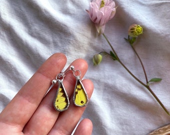 Butterfly Wing Teardrop Earrings