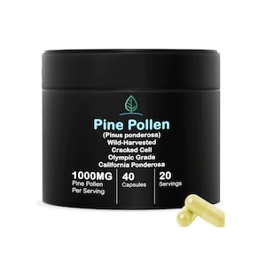 Pine Pollen Capsules 500mg by Holistic Bin | Pharmaceutical Grade, Organic Wild Harvested California Pine Pollen Powder (40 Capsules)