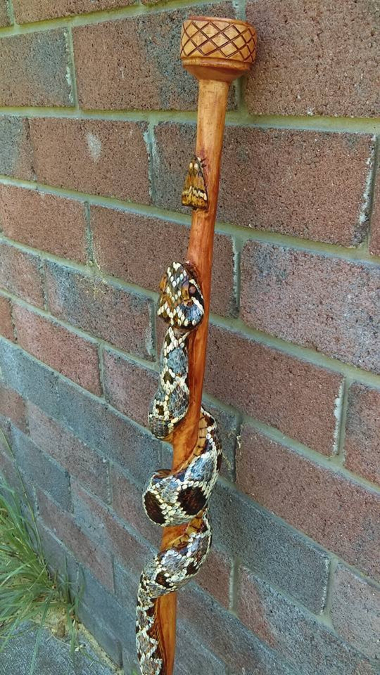 Snake walking stick Custom walking cane hand carved Your Etsy
