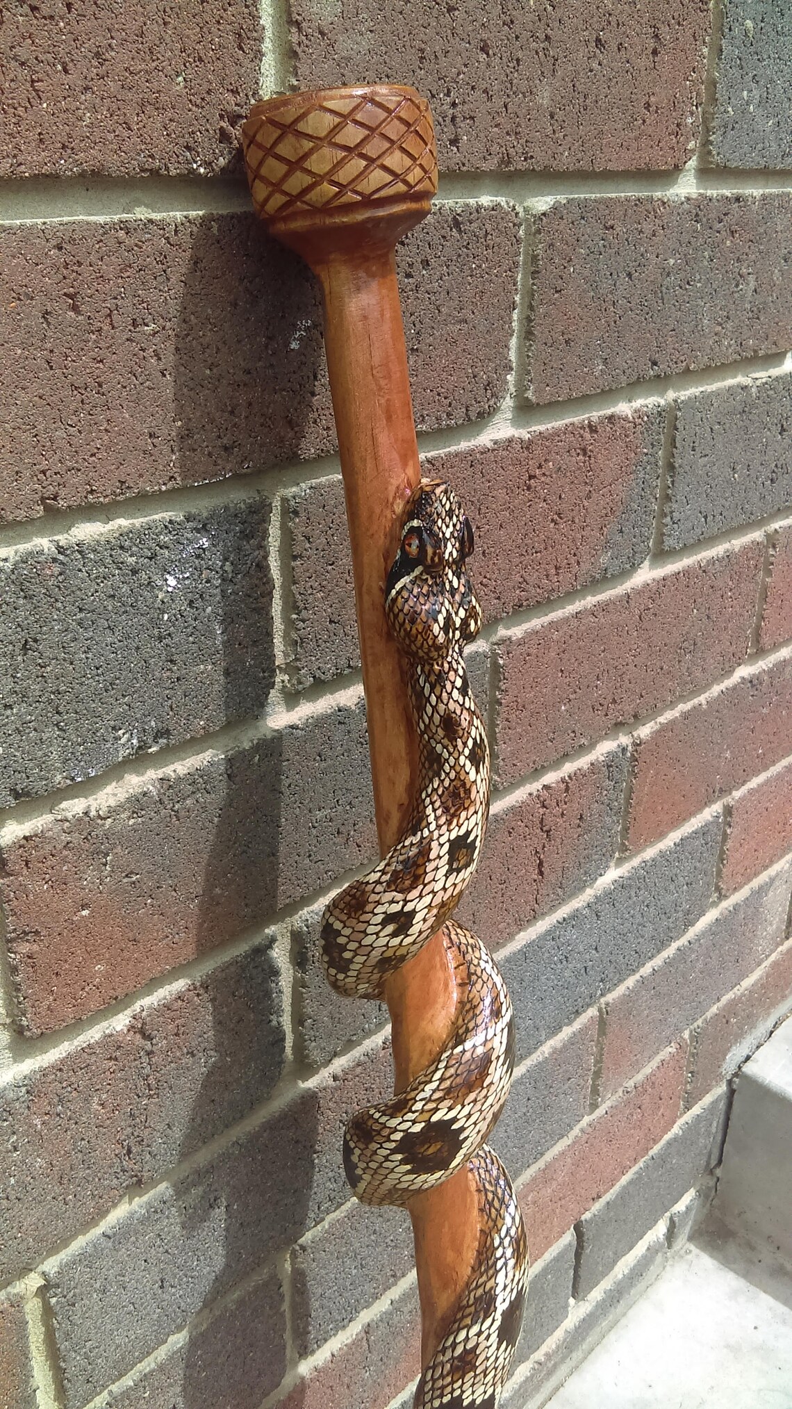 Snake walking stick Custom walking cane hand carved Your Etsy