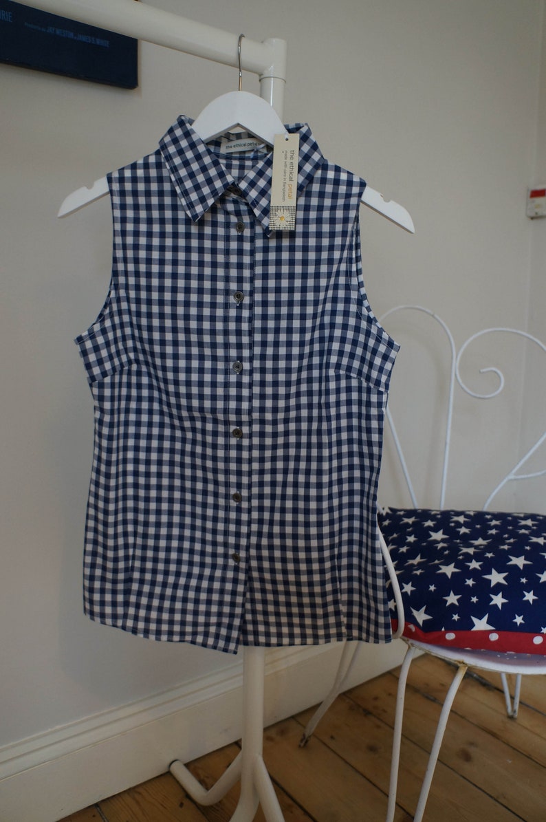 express gingham shirt