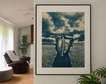 Spine 15 X19 Cyanotype Print