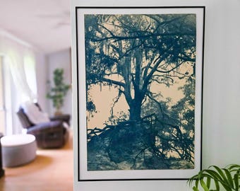 Sacred Hills, 14 in X 19 in Cyanotype print