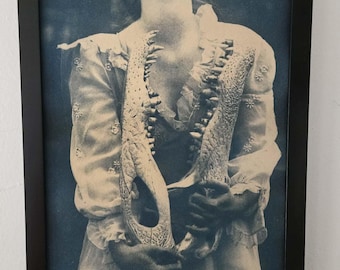 Barney, 8X10 cyanotype print