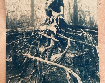 Roots Cyanotype Print, Tea-Stained Watercolor Paper (8x10)