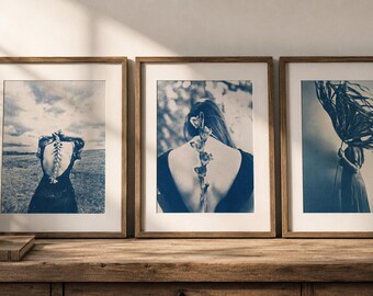 Set of 3 Cyanotypes, Triptych